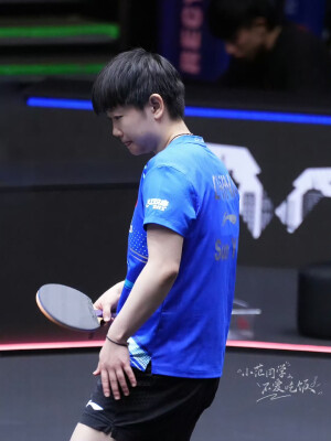 小太阳鲨鱼日记