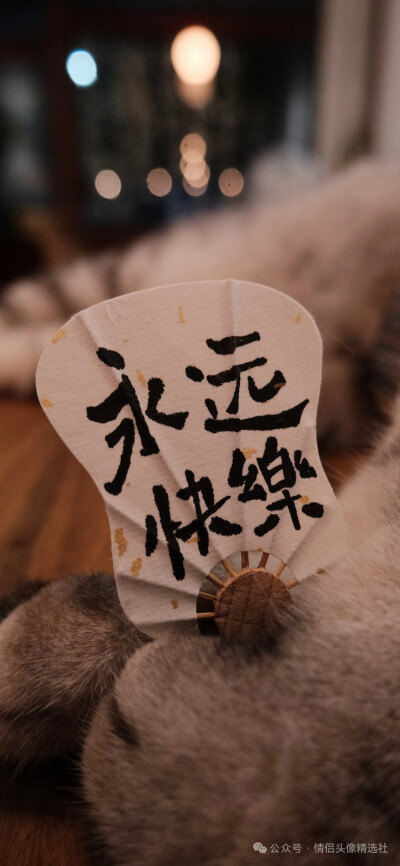壁纸