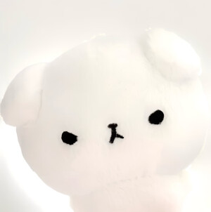 小狗