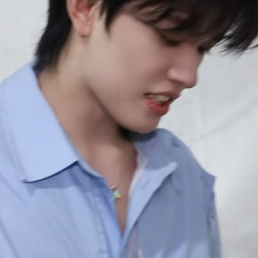 拿图单收 一只猪