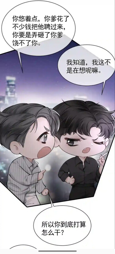 天仙狗狗