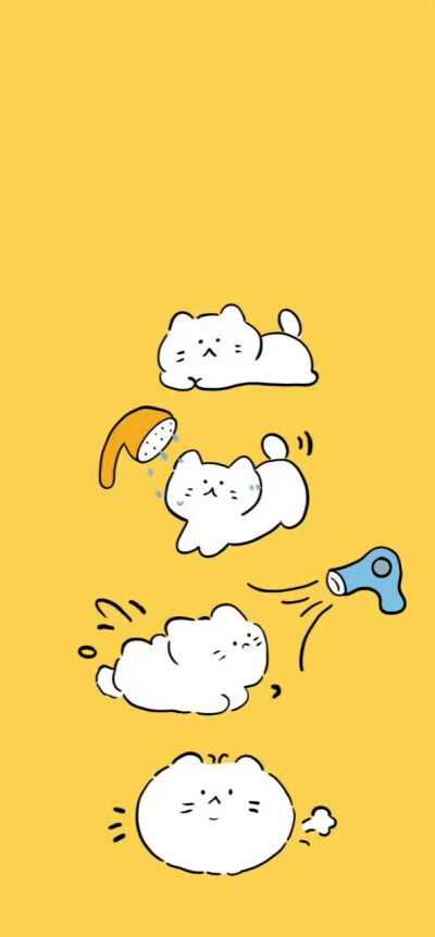 壁纸