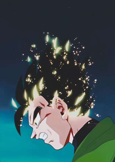 龙珠