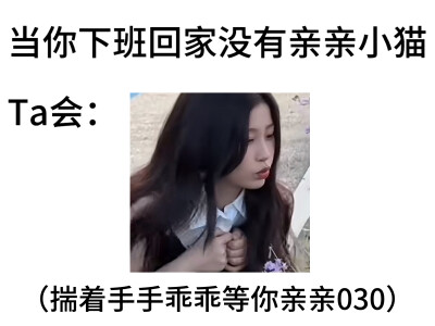 谁会不喜欢吸猫呢
