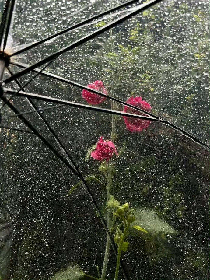 朋友圈背景图