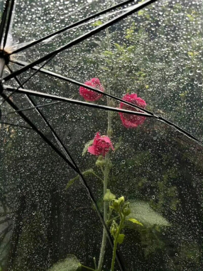 朋友圈背景图