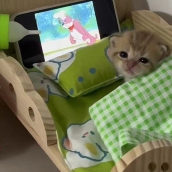 (´-ω-`)