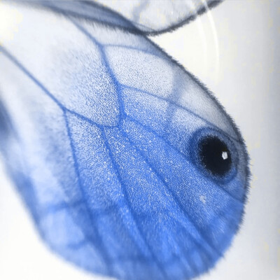  ：四月是你的谎言