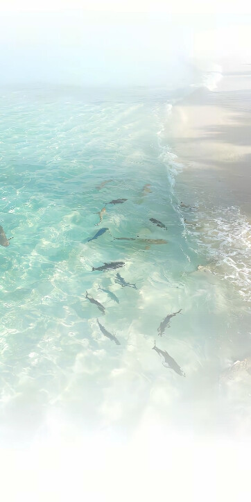 ₍˄·͈༝·͈˄*₎