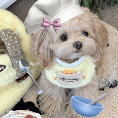 搞怪头像