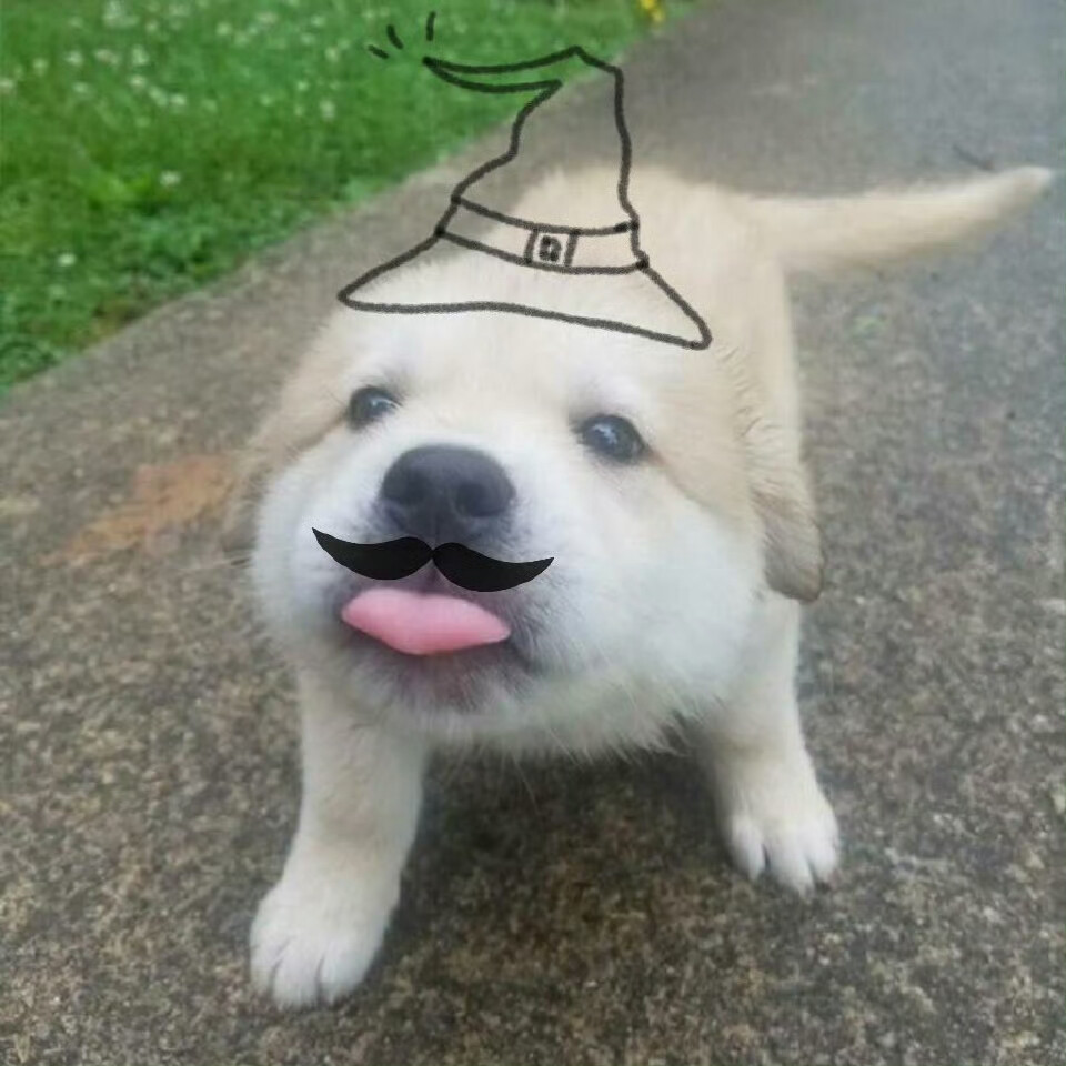 狗