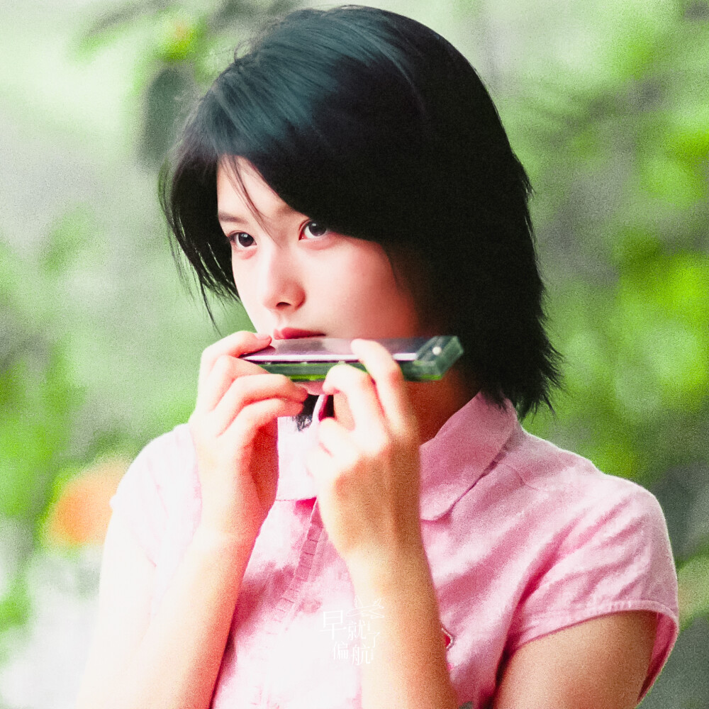 ☪︎绿野仙踪