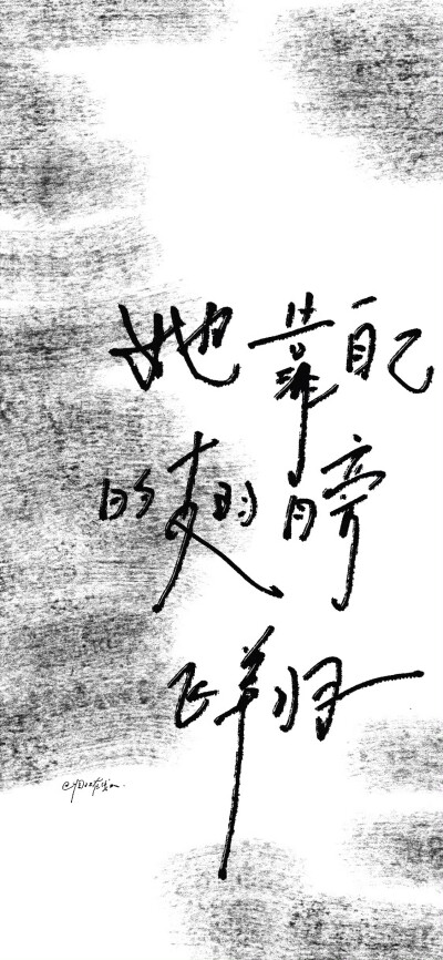 壁纸