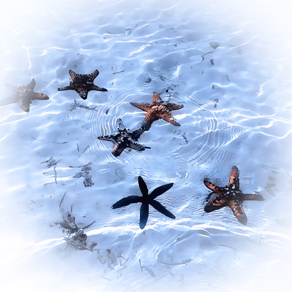  ：四月是你的谎言