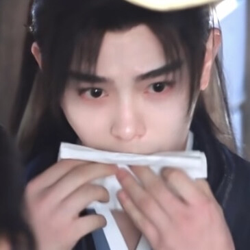 丁禹兮