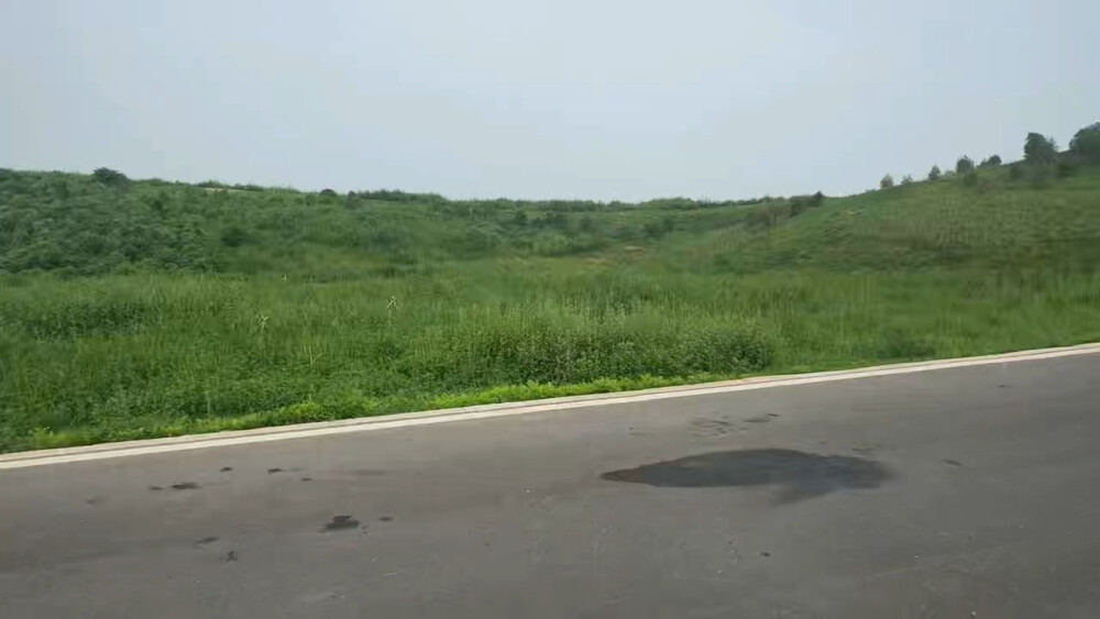 绿