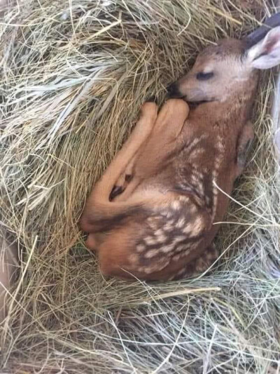 ^_^