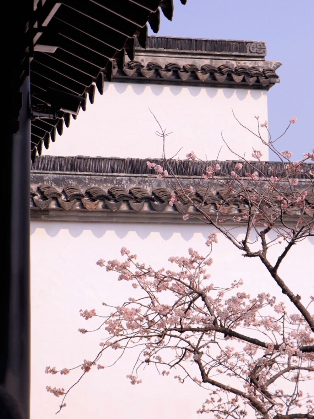 桃花相映红*孟子义