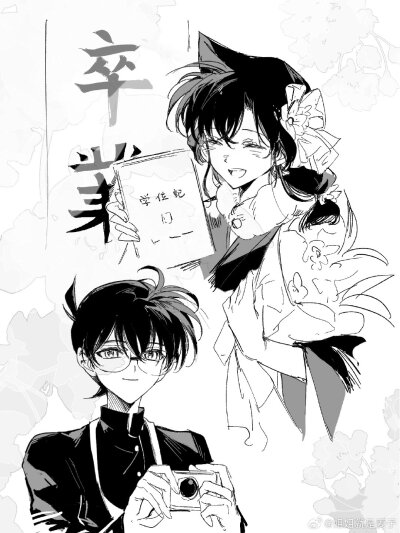 新兰