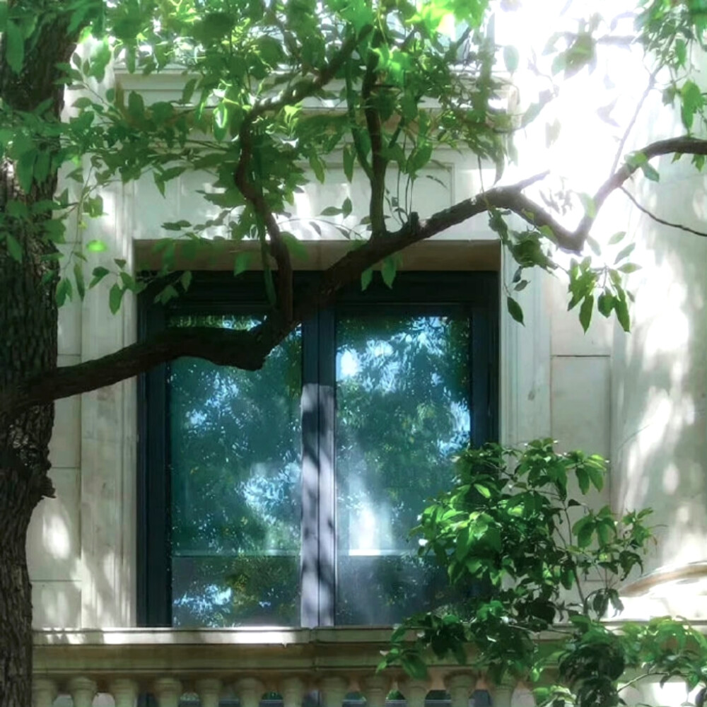 我要爱诡秘一辈子