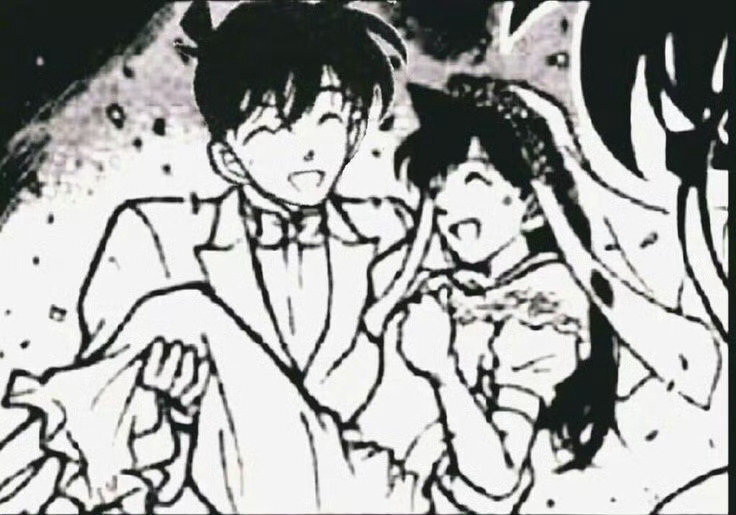 新兰