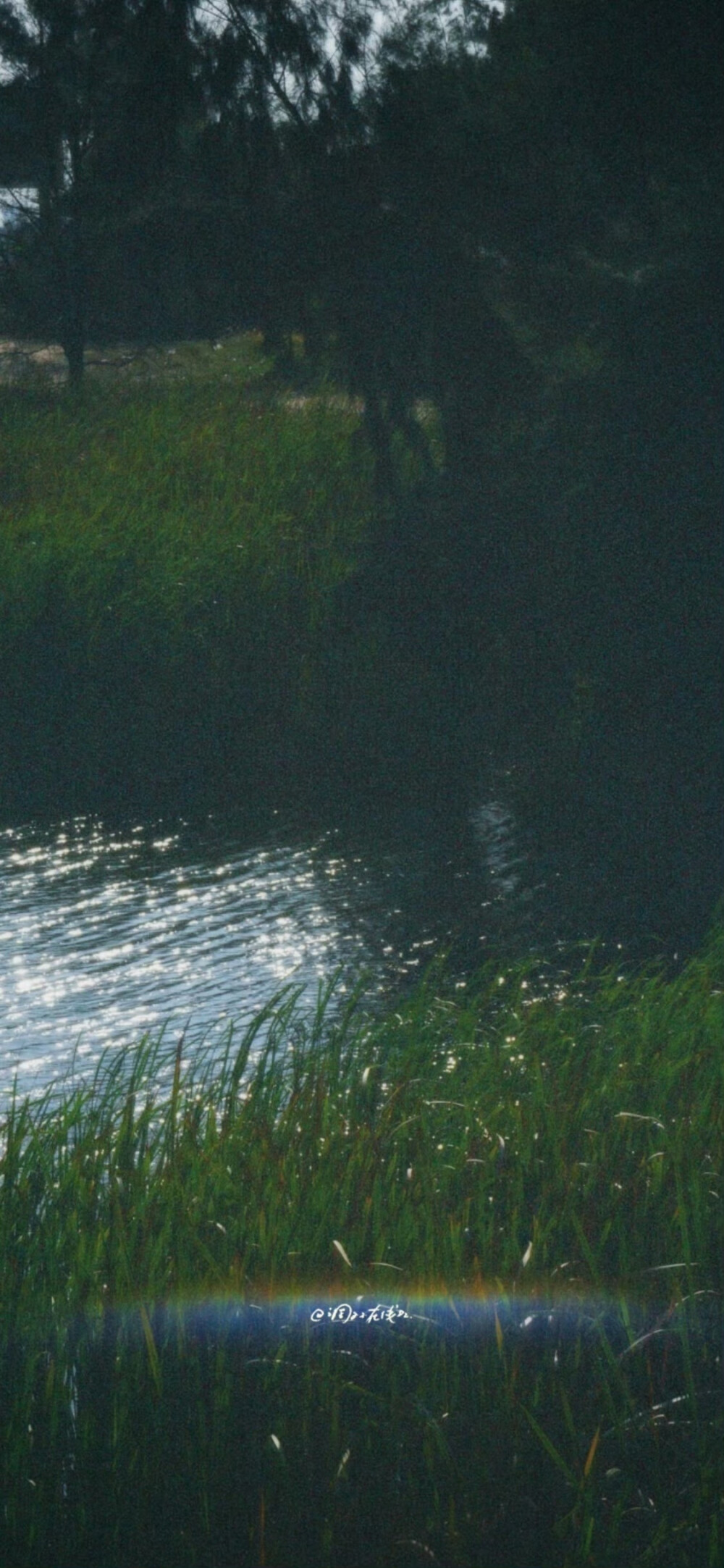 壁纸