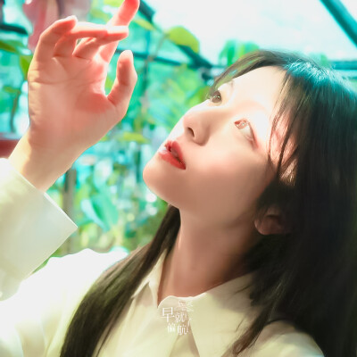 ☪︎绿野仙踪