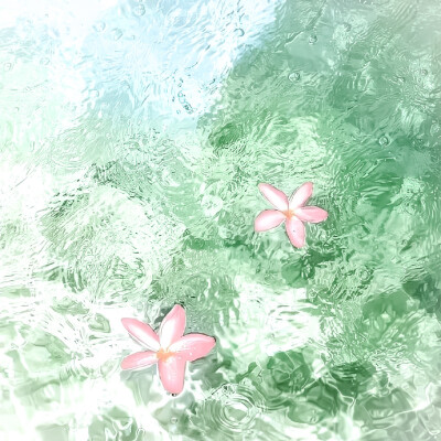 秋窈宝宝送的！特别可爱！