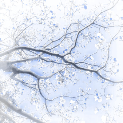  ：四月是你的谎言