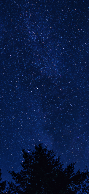 晚安
图片来自网络，侵删