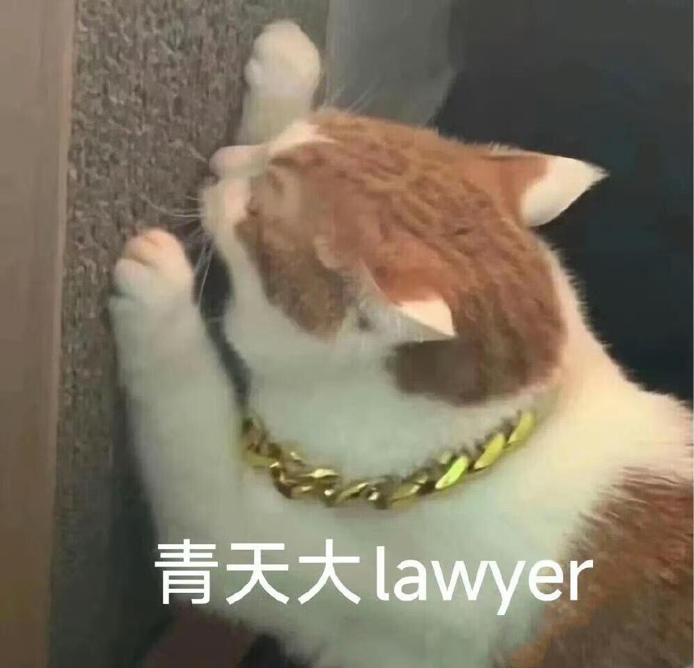 你很胖 才不是毛茸茸