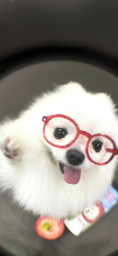 壁纸