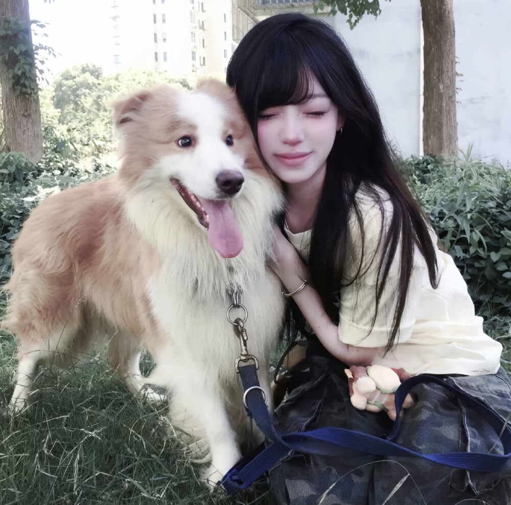 二转注明dt讪崽