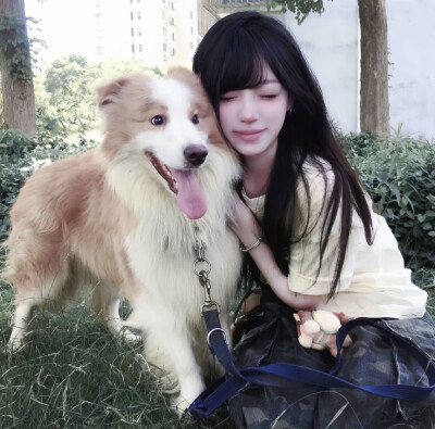 二转注明dt讪崽