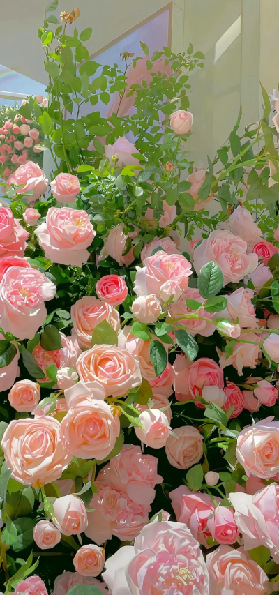 微信