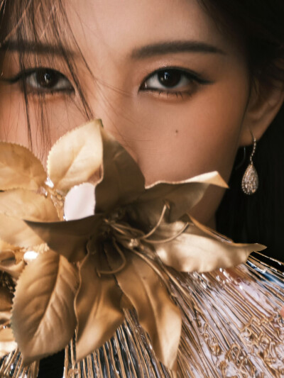 李一桐