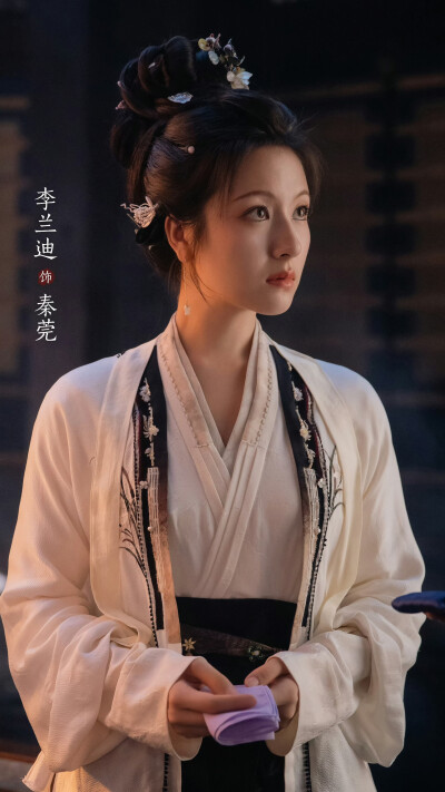 朝雪录 秦莞 李兰迪