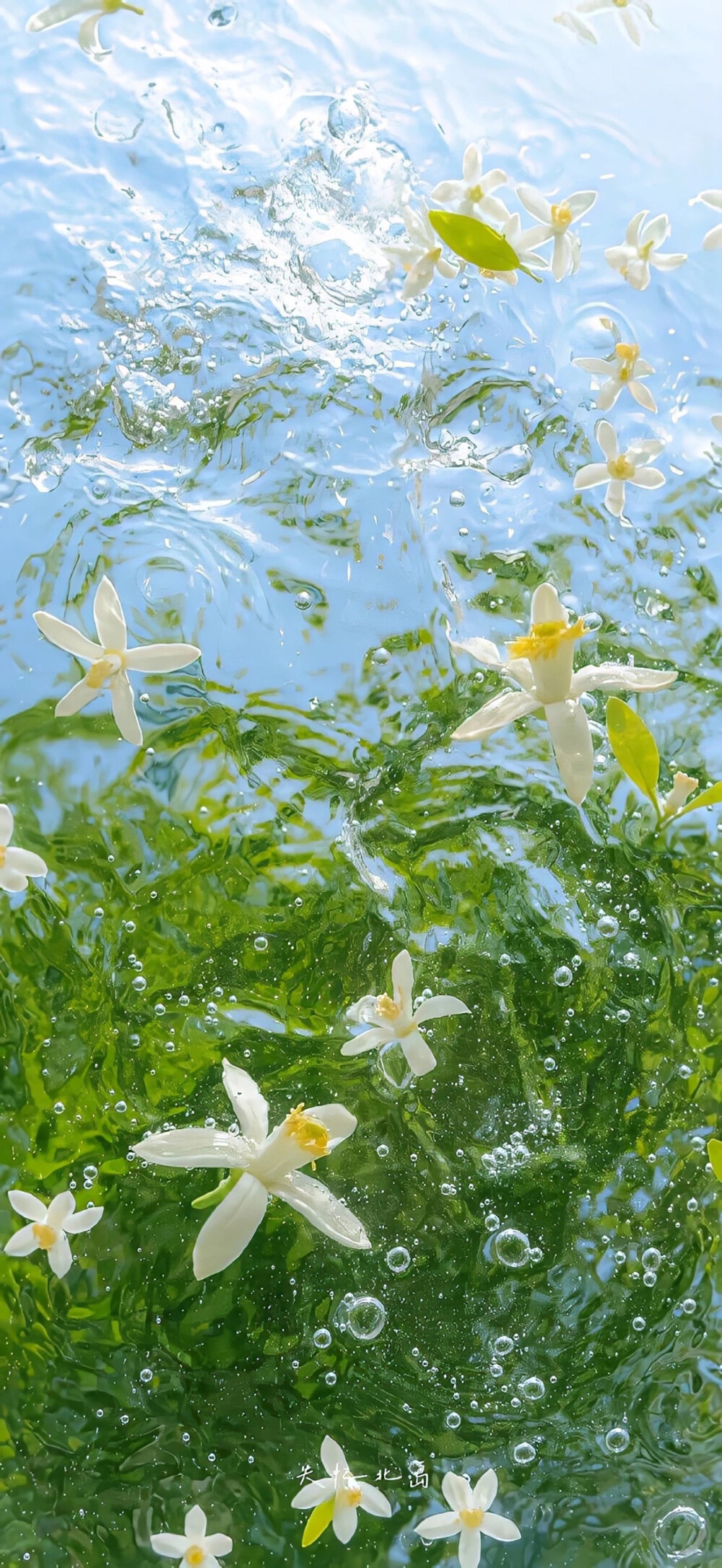水
