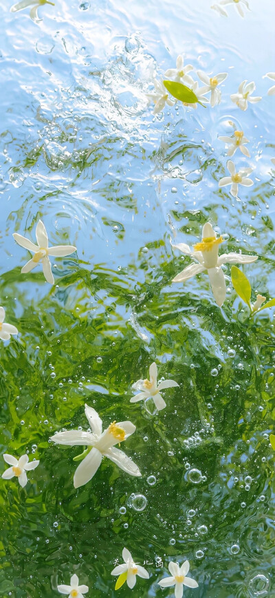 水