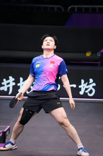 樊振东