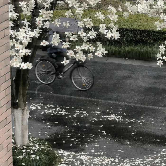 聆听那季冬宝宝送哒