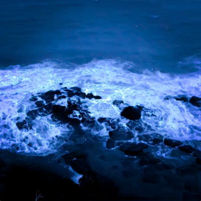 “宝宝你真的特别萌我真是不明白了为什么你这么萌你知道你自己这么萌吗如果不传播宝的可爱全世界都要毁灭了世界没有你可怎么转只能强撑都是强撑罢了太萌了我的宝萌的我从地球螺旋升天我的好宝宝”
·章若楠
·原耀喝…