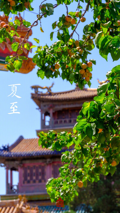 故宫