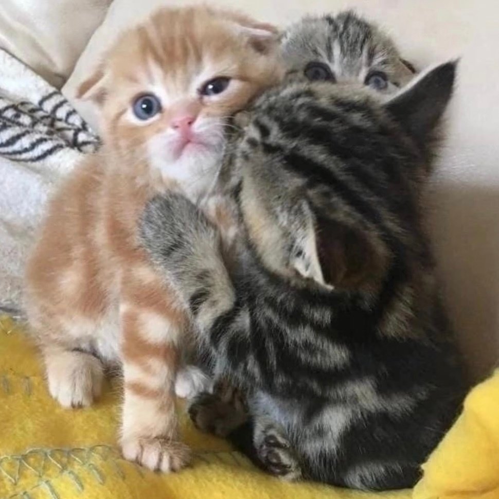 /