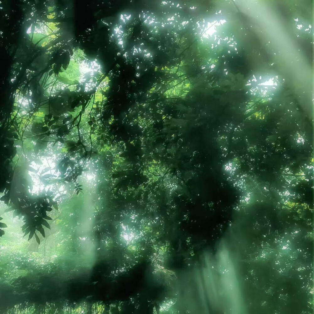 羊枝星的 ˶ᵒ ᵕ ˂˶