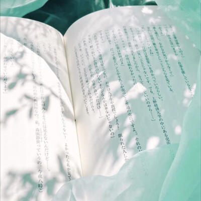 背景图ins