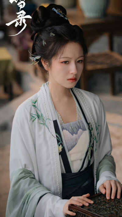 朝雪录 秦莞 李兰迪