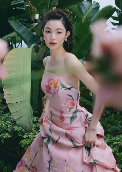 钟楚曦