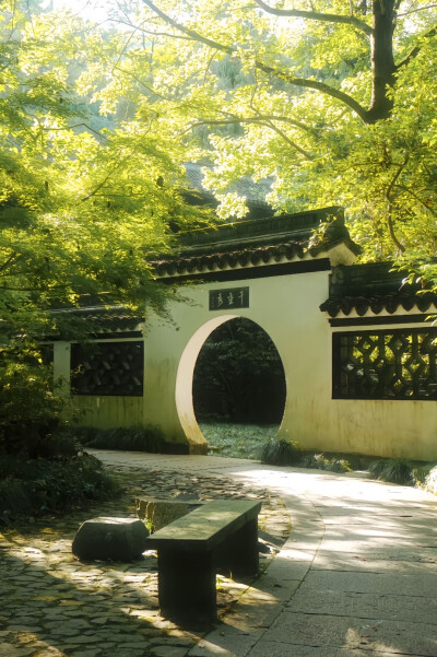 夏天 绿意 阳光 壁纸