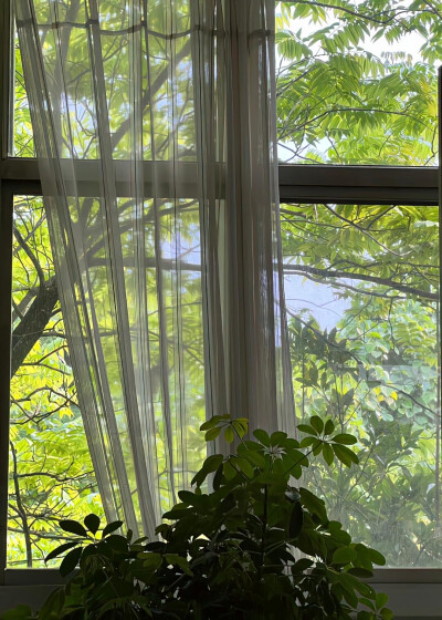 夏